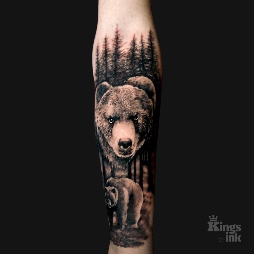 Niedźwiedzie i las.