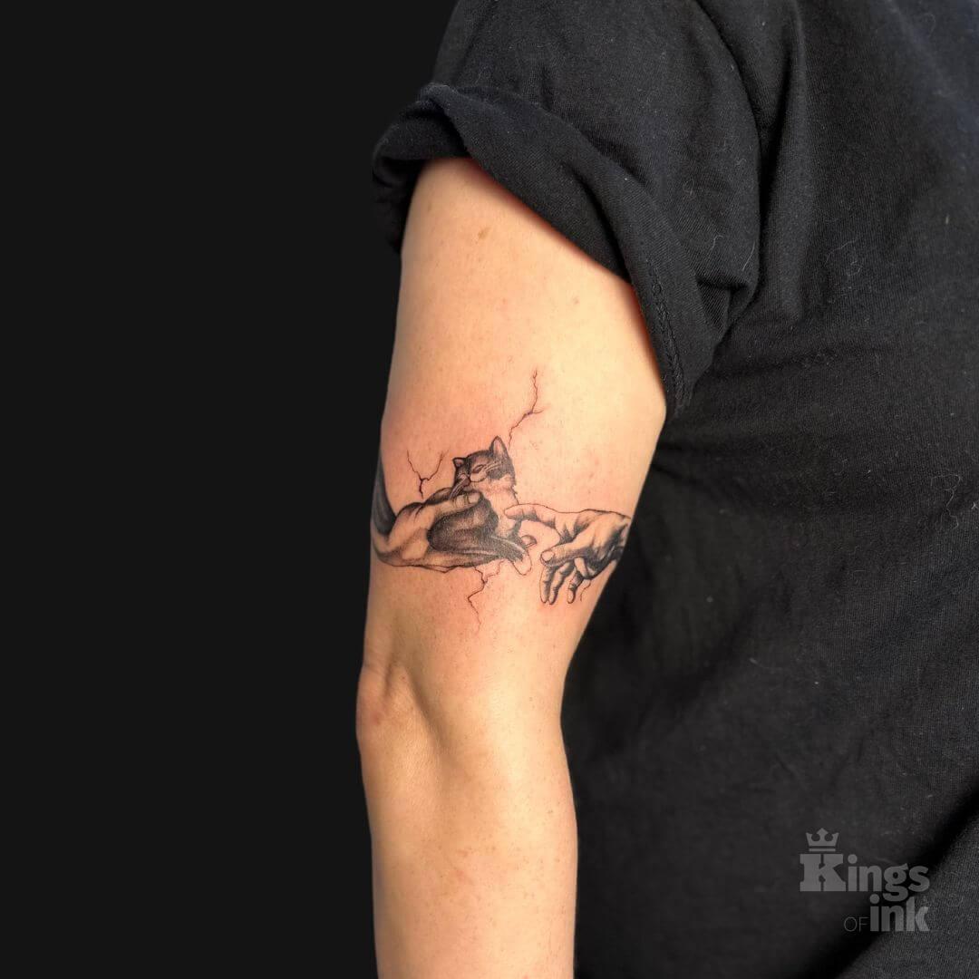 Kot trzymany w dłoniach, którego sierści dotyka inna ręka.